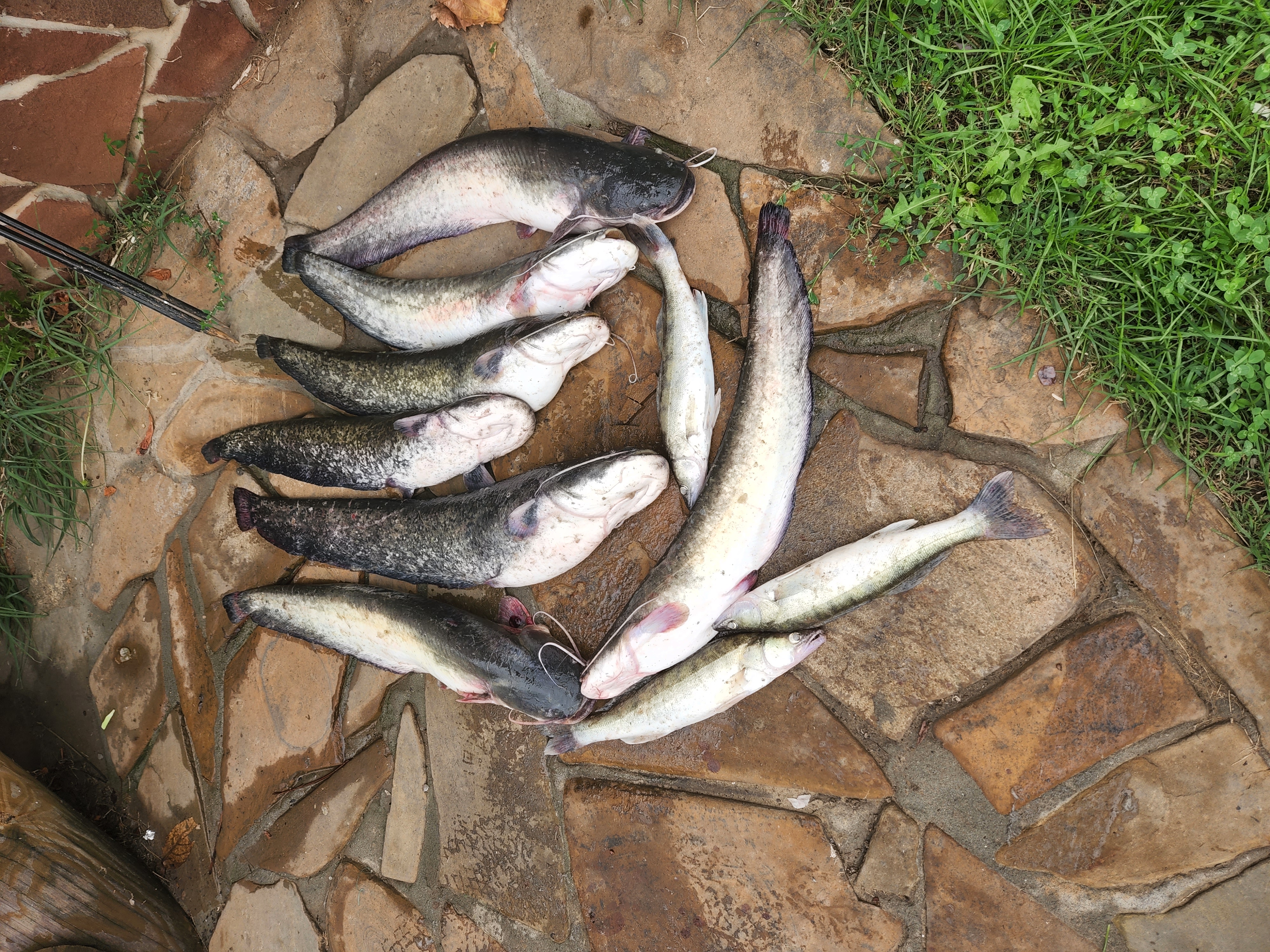 Фото Дом солнца