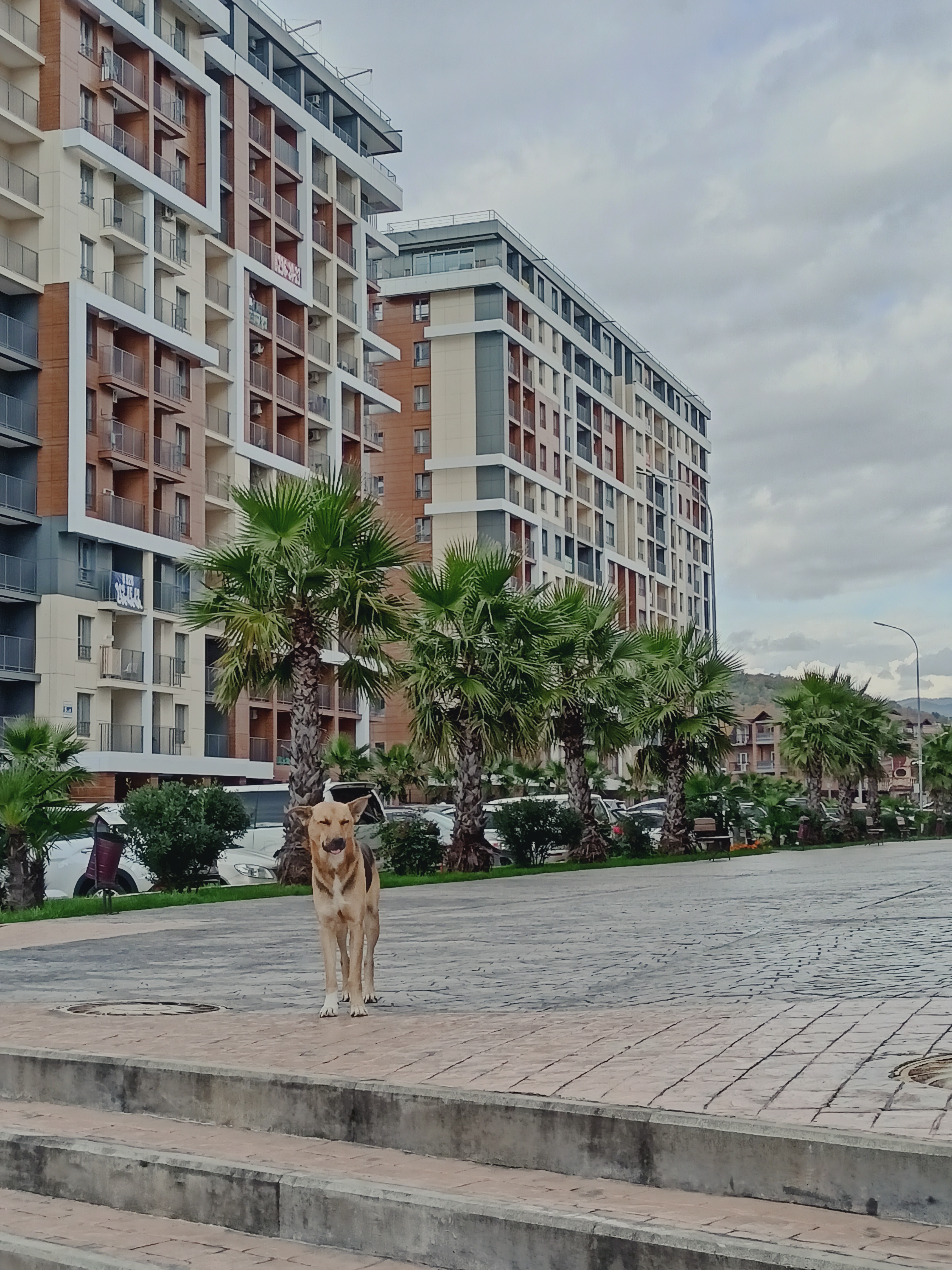 Фото Апарт-квартал Каравелла