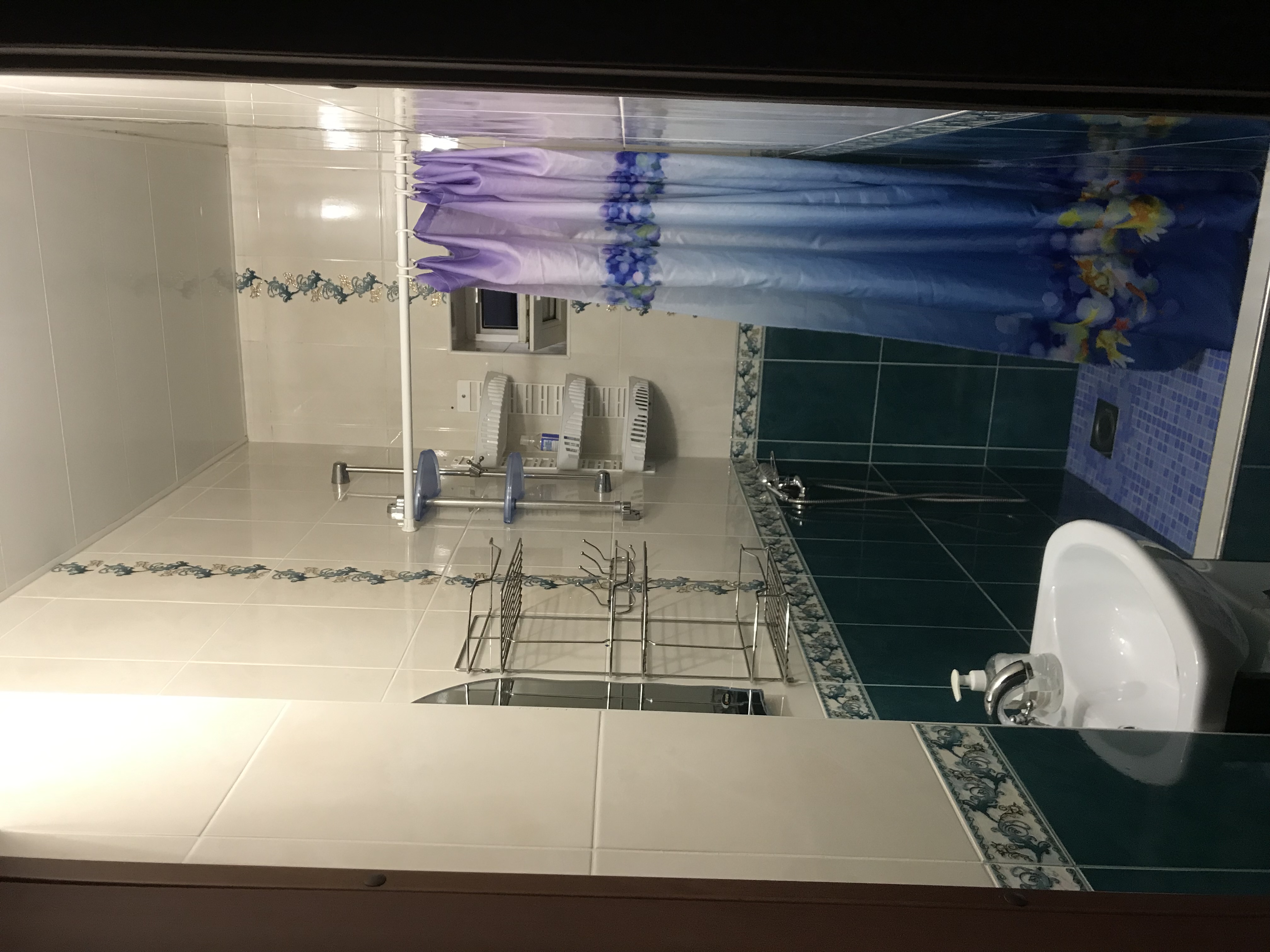 Фото Беркут