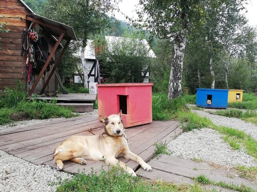 Внешний вид отеля Baikal Hill Residence в Листвянке, фото 3