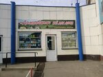 Товары для дома (mikrorayon Pervomayskiy, ulitsa Vampilova, 4), home goods store