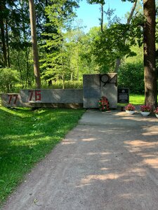 76th and 77th fighter battalions, formed in 1941 from residents of the city of Pushkin (St. Petersburg, Pushkin, Aleksandrovskiy park), monument, memorial