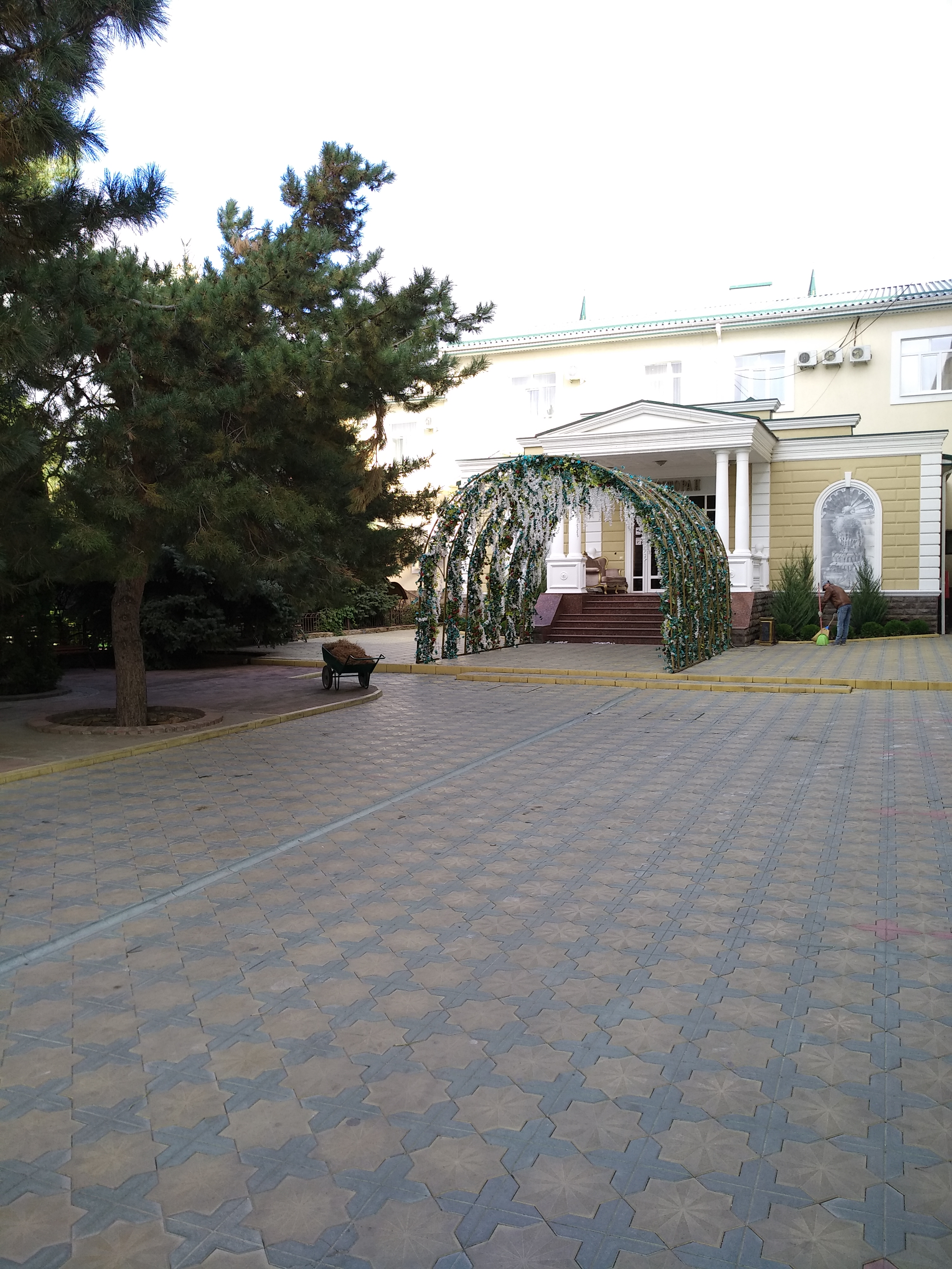 Фото Эдельвейс