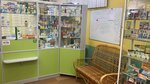 Alyans-Farm (rabochiy posyolok Zaprudnya, Pervomayskaya ulitsa, 6), farmacia