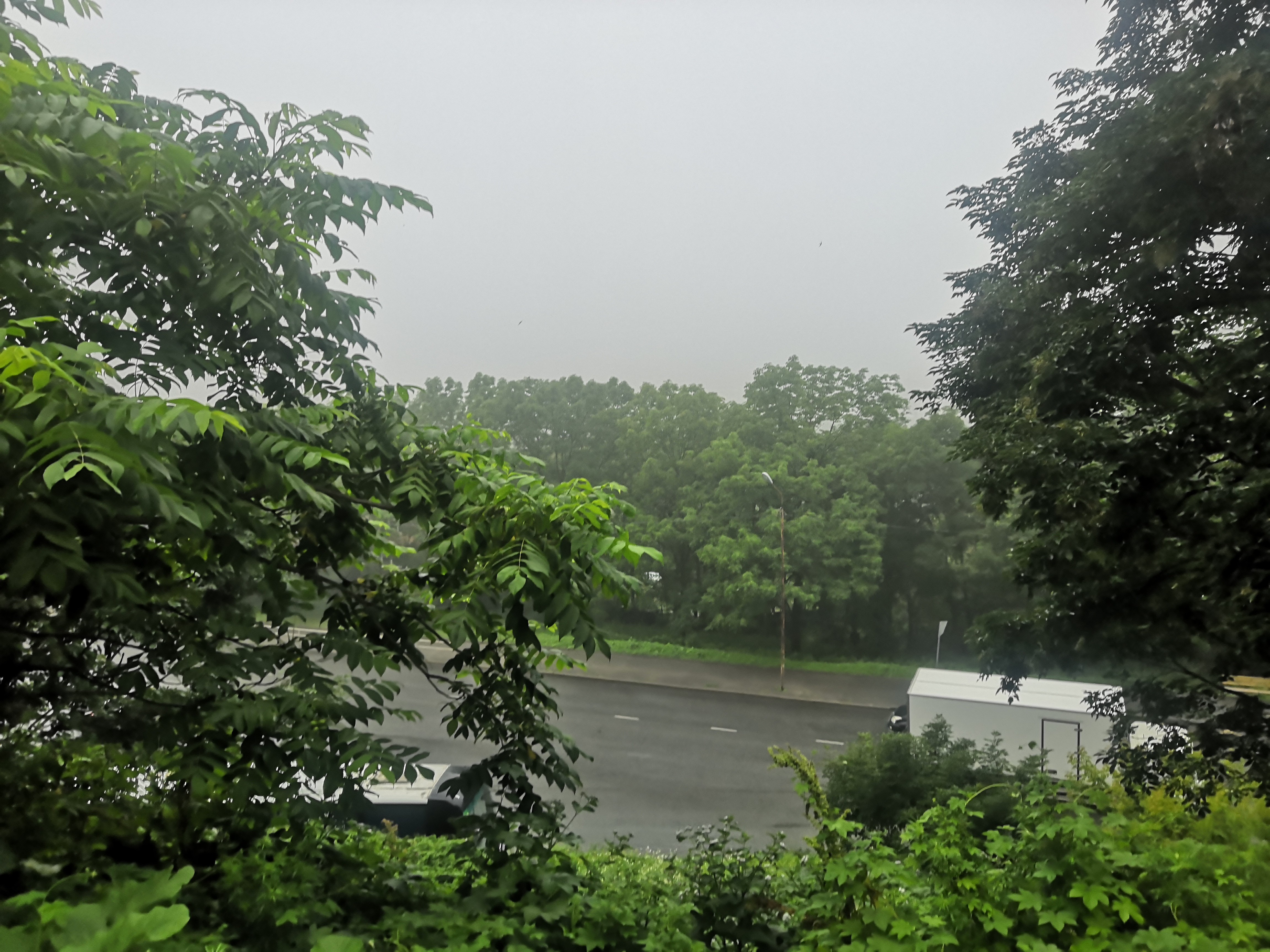 Фото Корона