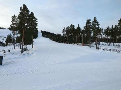 Гостиница Gesundaberget Skilodge