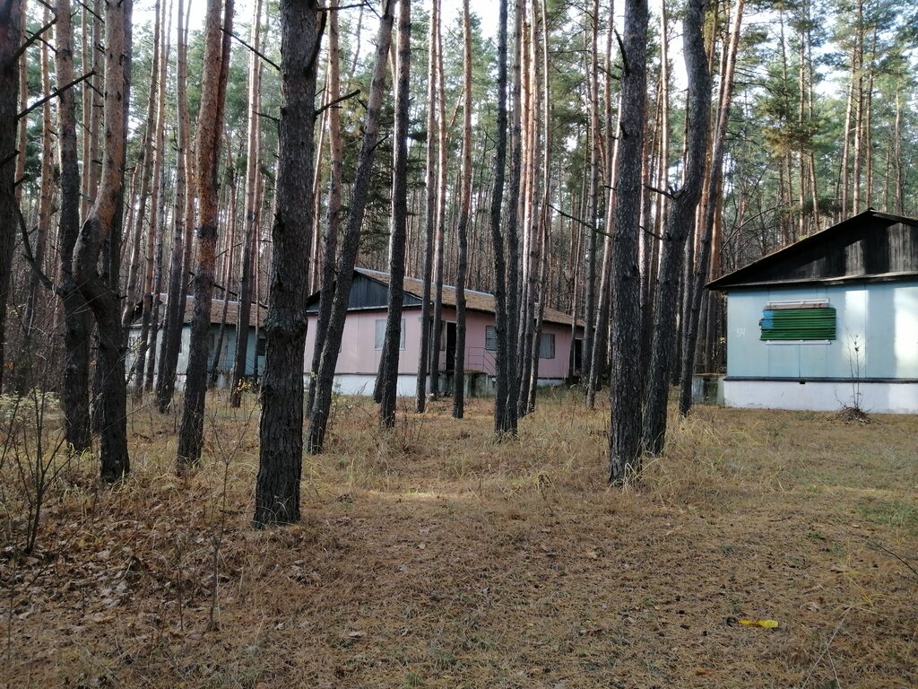 Tourist camp База отдыха Мичуринский лес село Тарбеево, Tambov Oblast, photo