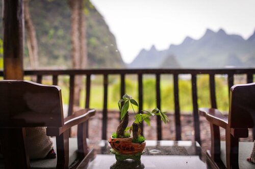 Гостиница Yangshuo Rural House