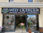Mely Floristry & Organization (Kocaeli, Korfez District, Yavuz Sultan Selim Mah., Mevlana Cad., 206B), flower shop