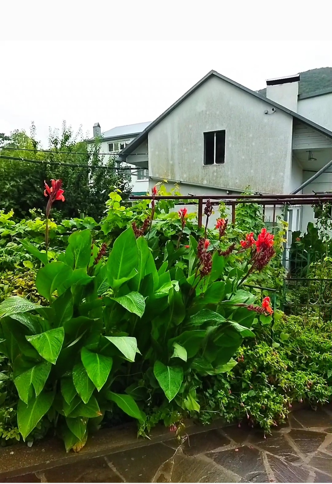 Фото Семейный