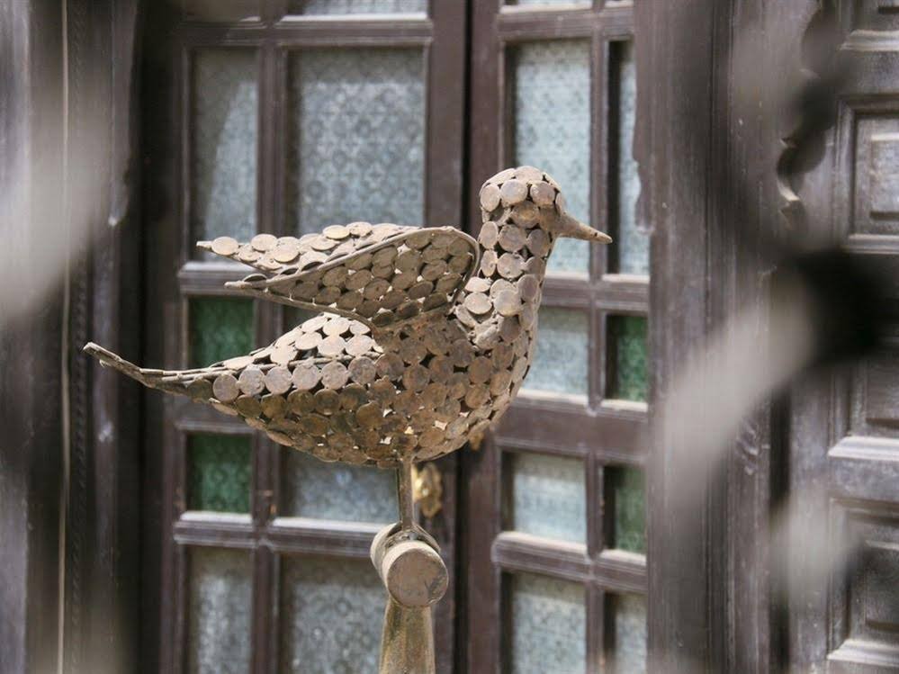 Фото Riad Houdou