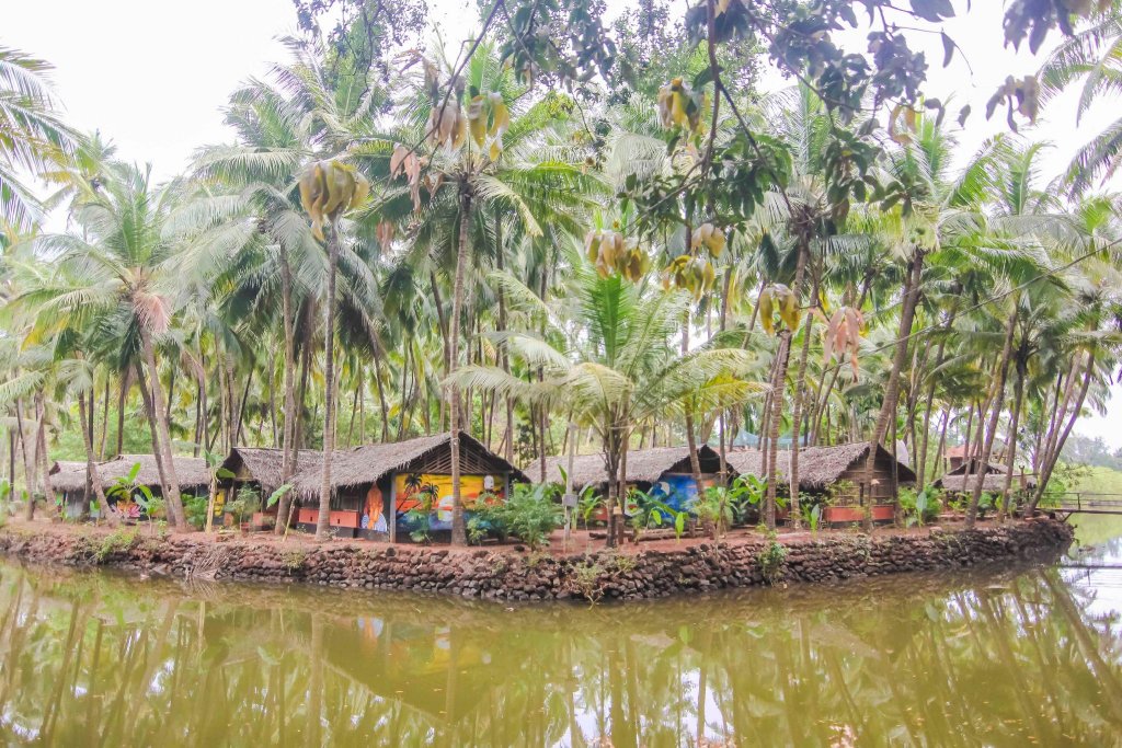 Фото Palm Trees Ayurvedic Heritage