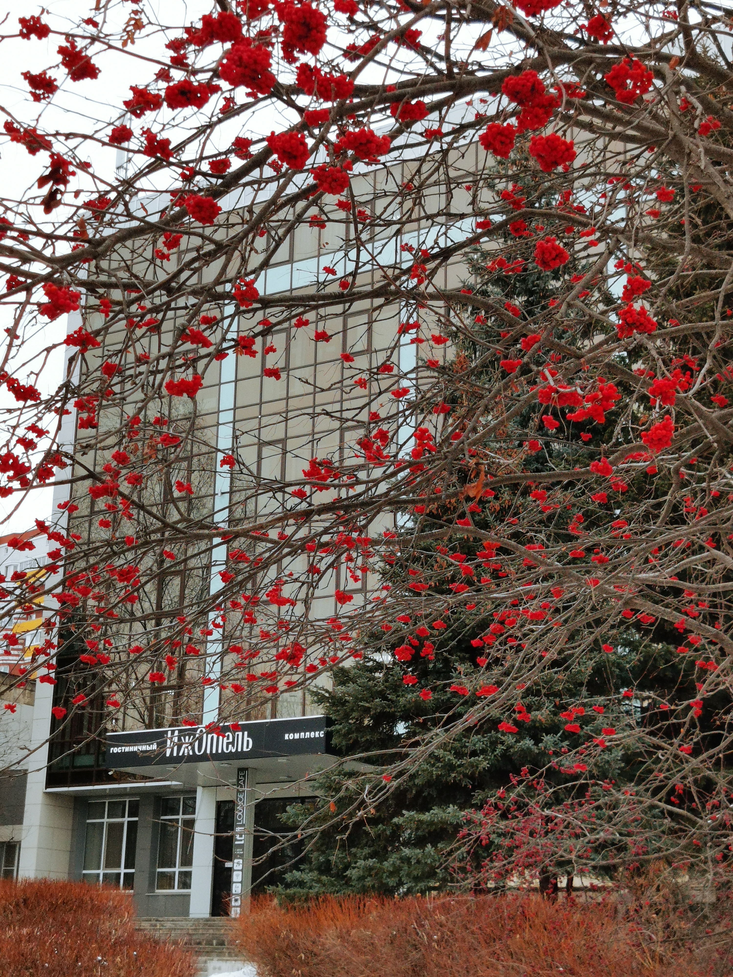 Фото ИжОтель