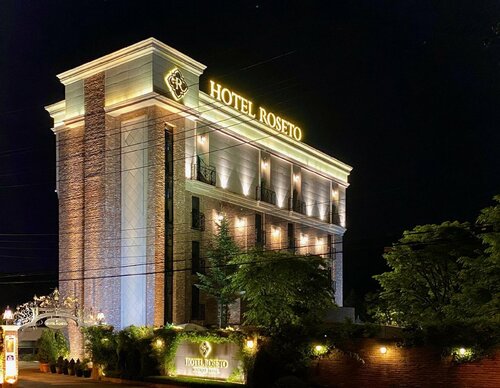 Гостиница Hotel Roseto