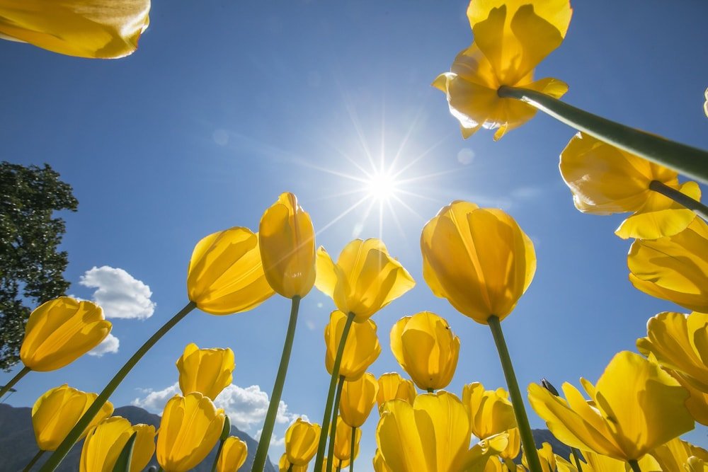 Фото Franklin House