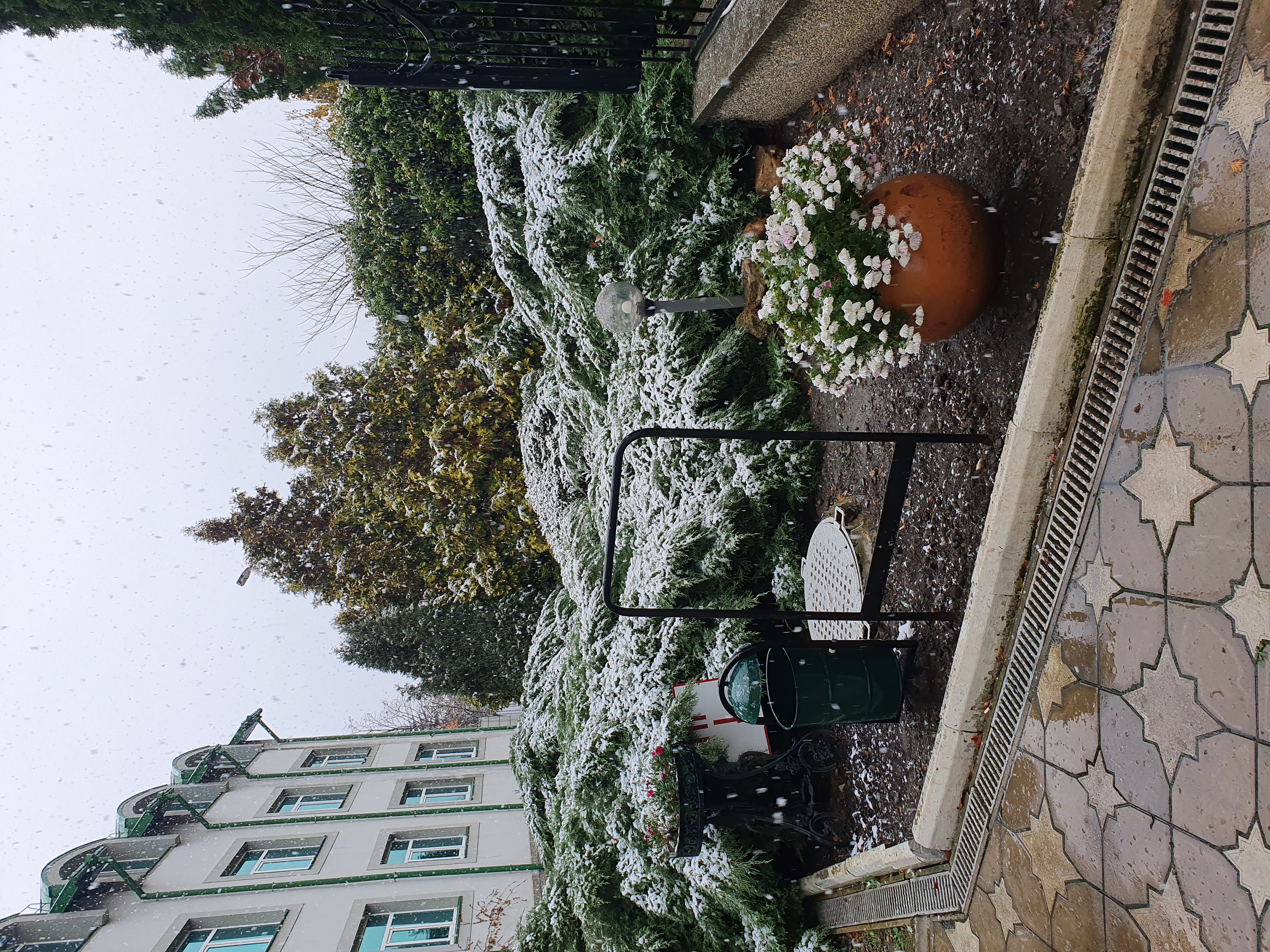 Фото Зелёная