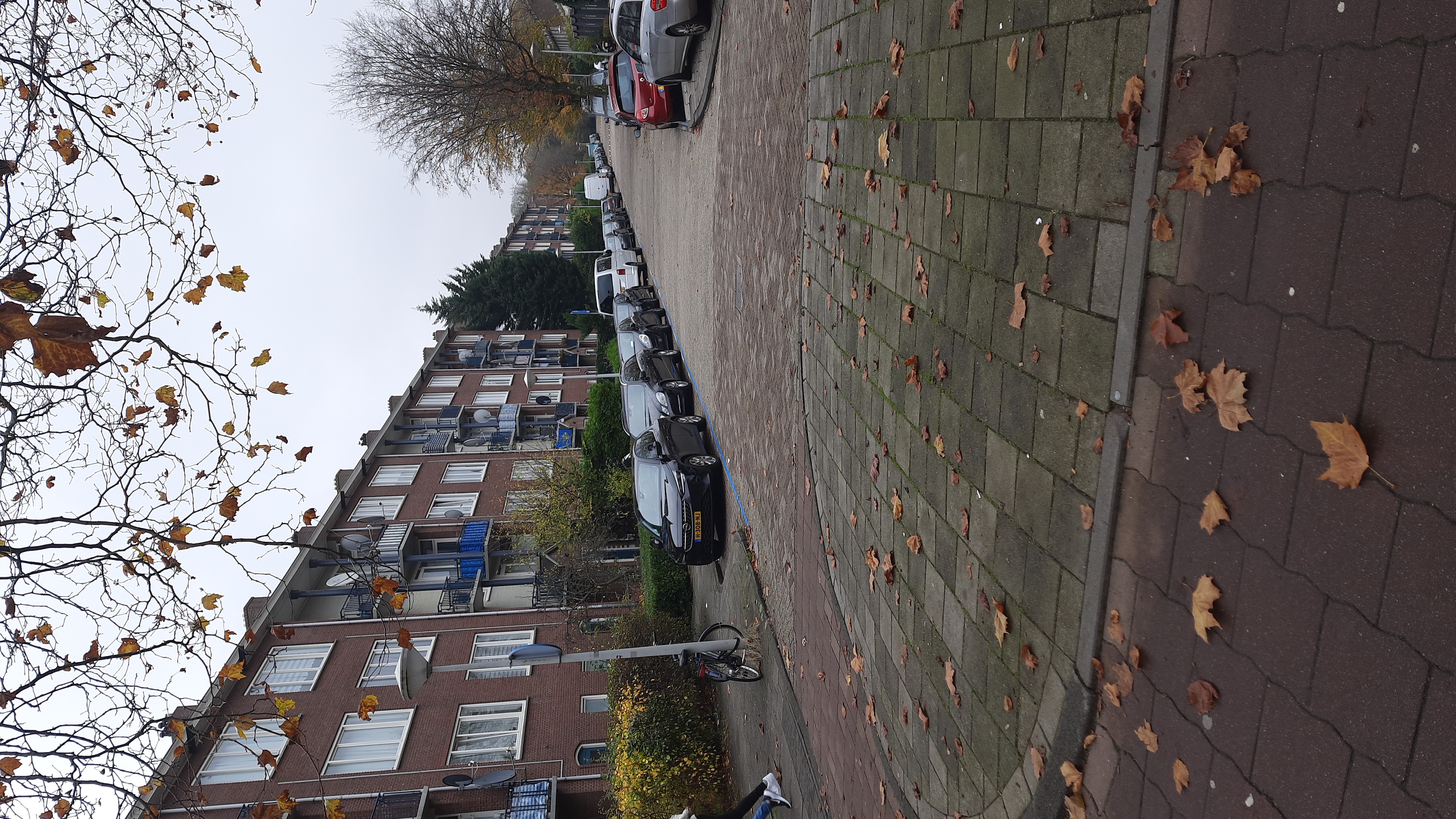 Фото Xo Hotels Blue Square