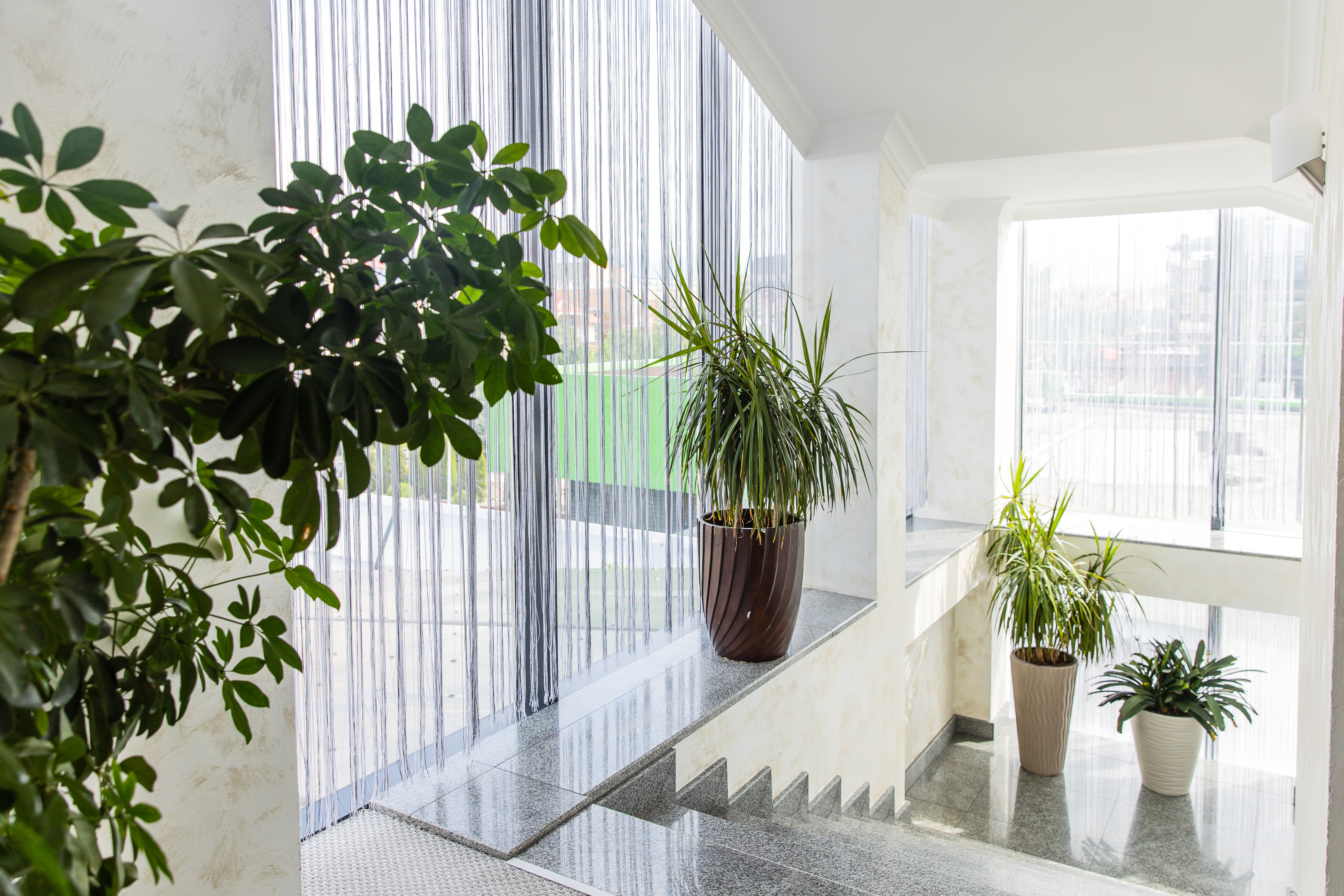 Фото ТиАдель