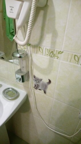 Кошкин дом  фото 7