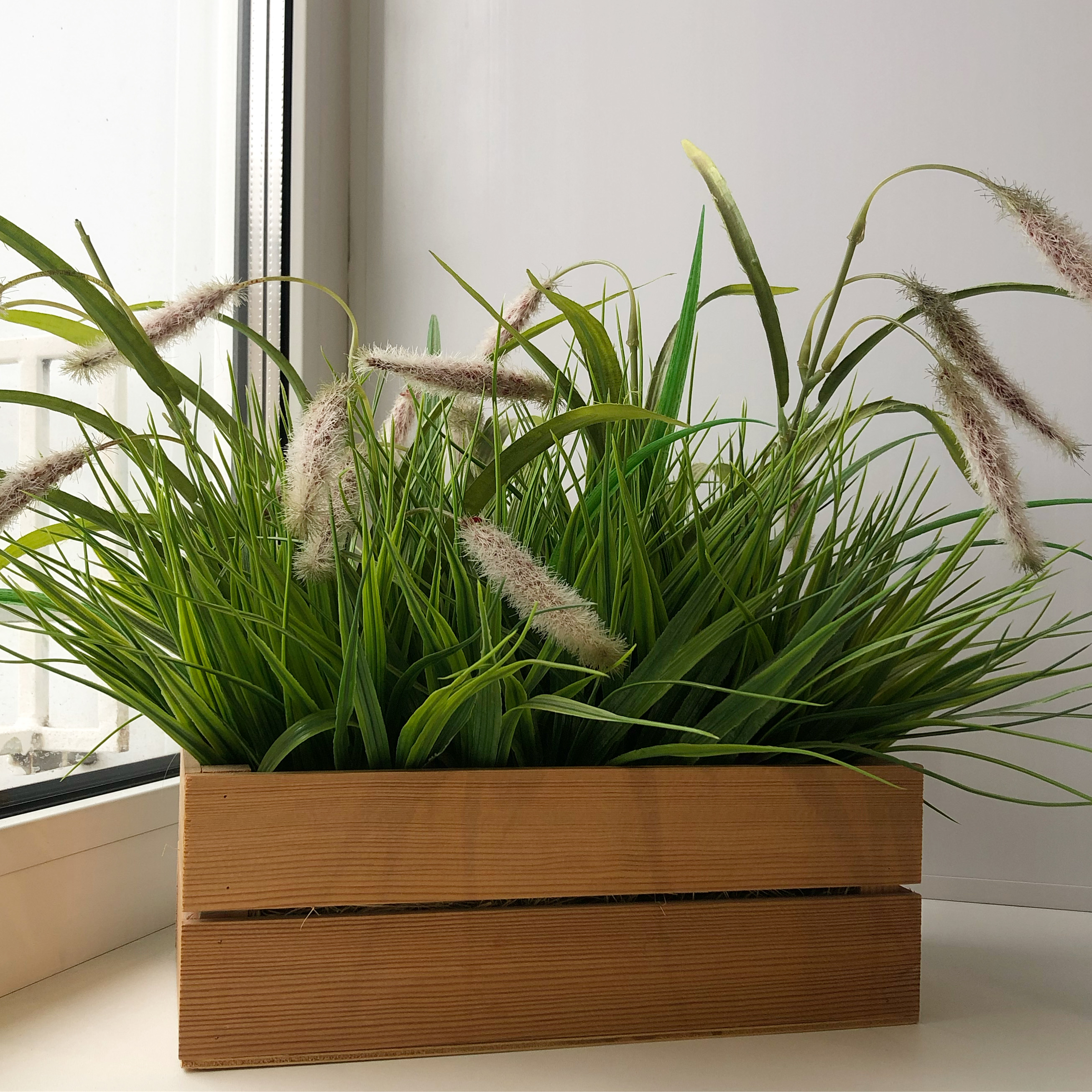 Фото Релакс