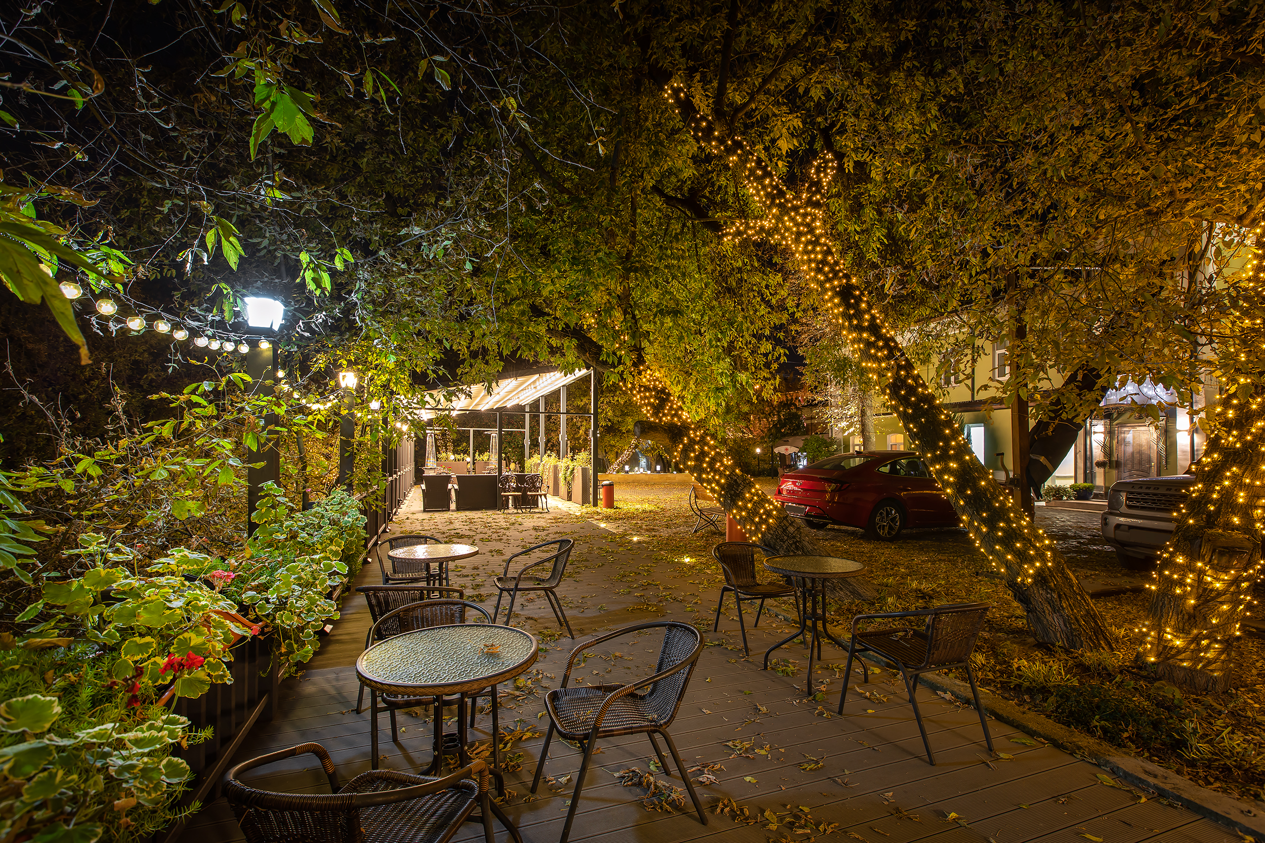 Фото Клевер