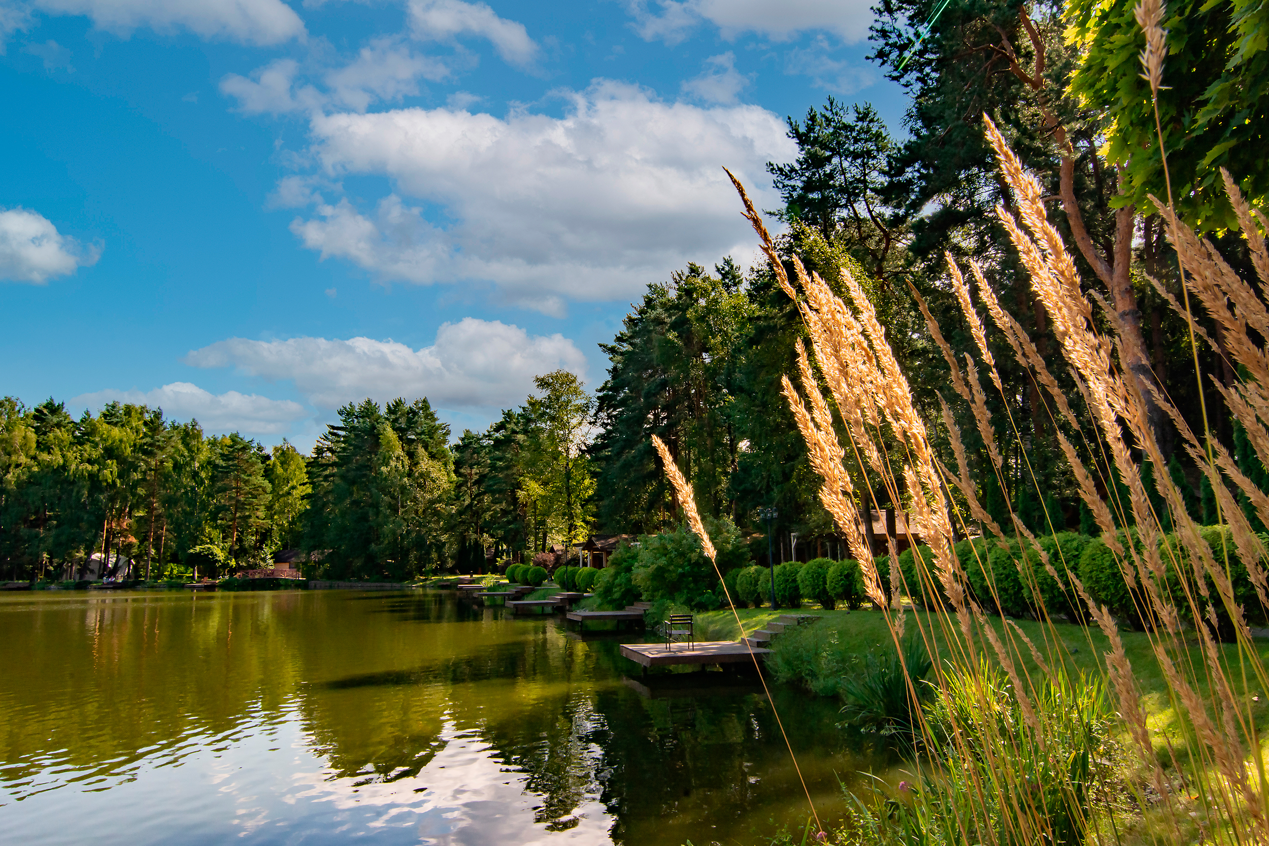 Фото Артиленд