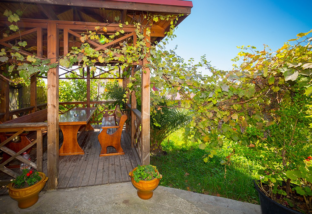 Фото Панорама