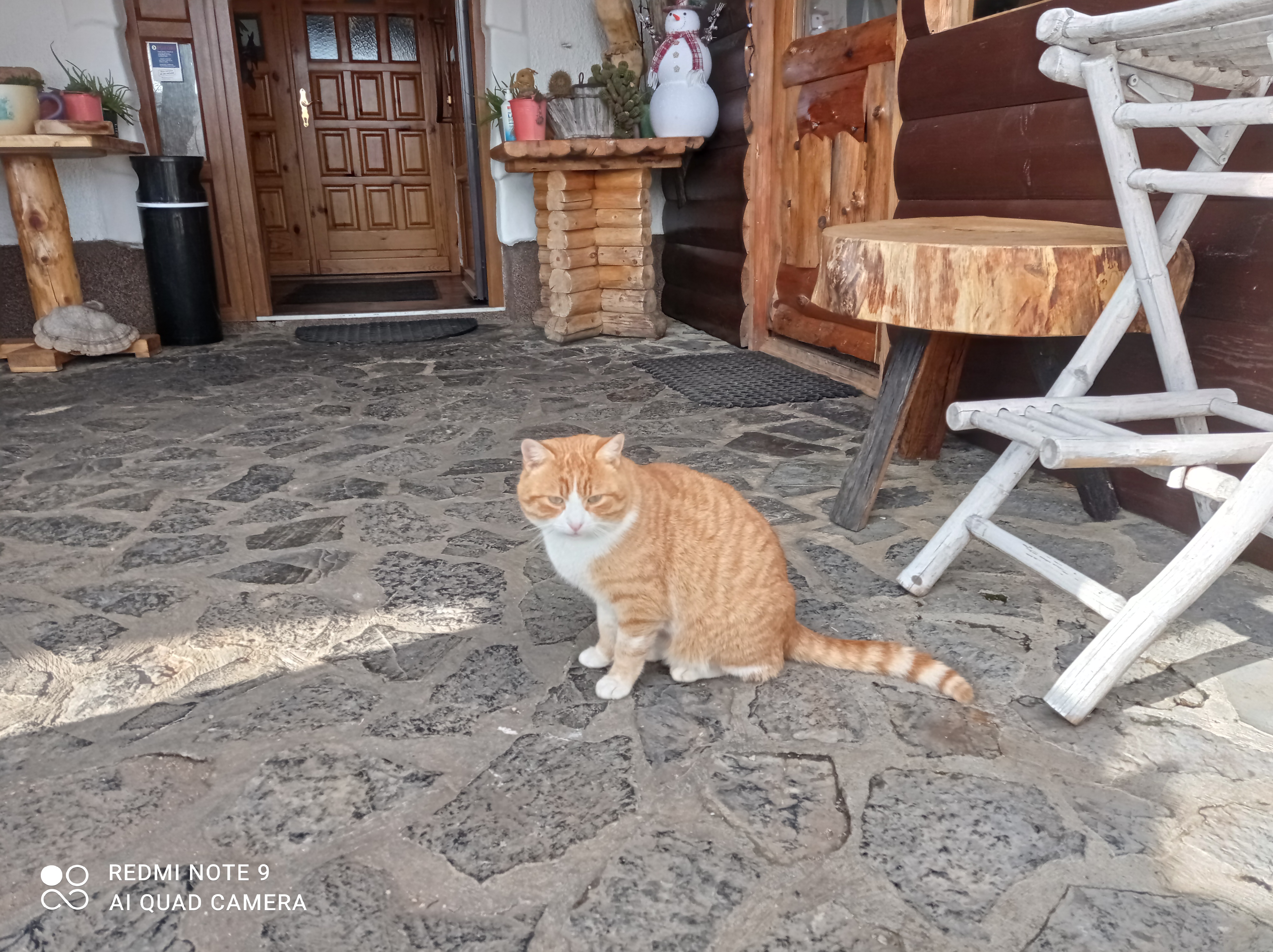 Фото Old Shatterhand