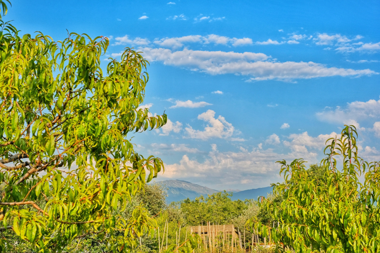 Фото Гостевой дом Виктория