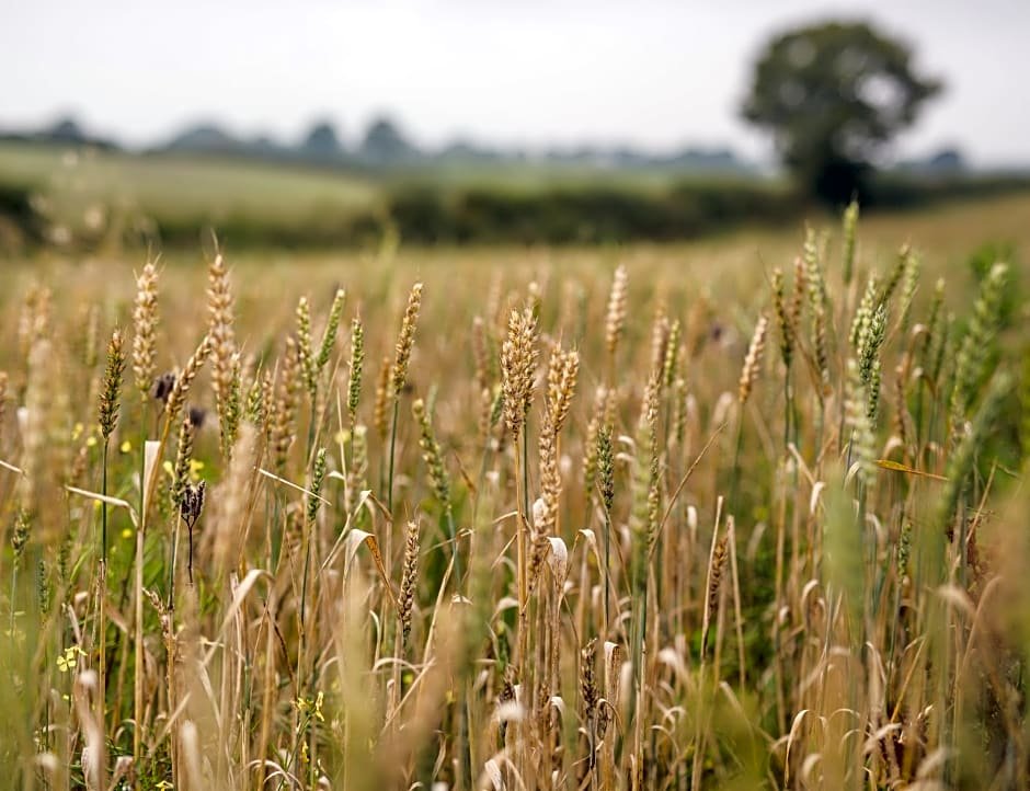 Фото Riding Farm Cottages