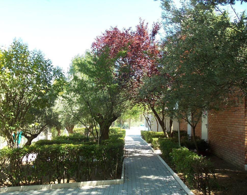 Фото La Fuensanta