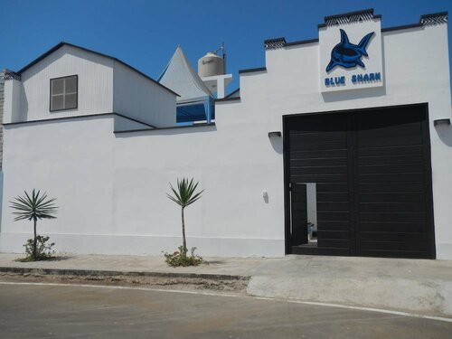 Апартаменты Blue Shark Apartments
