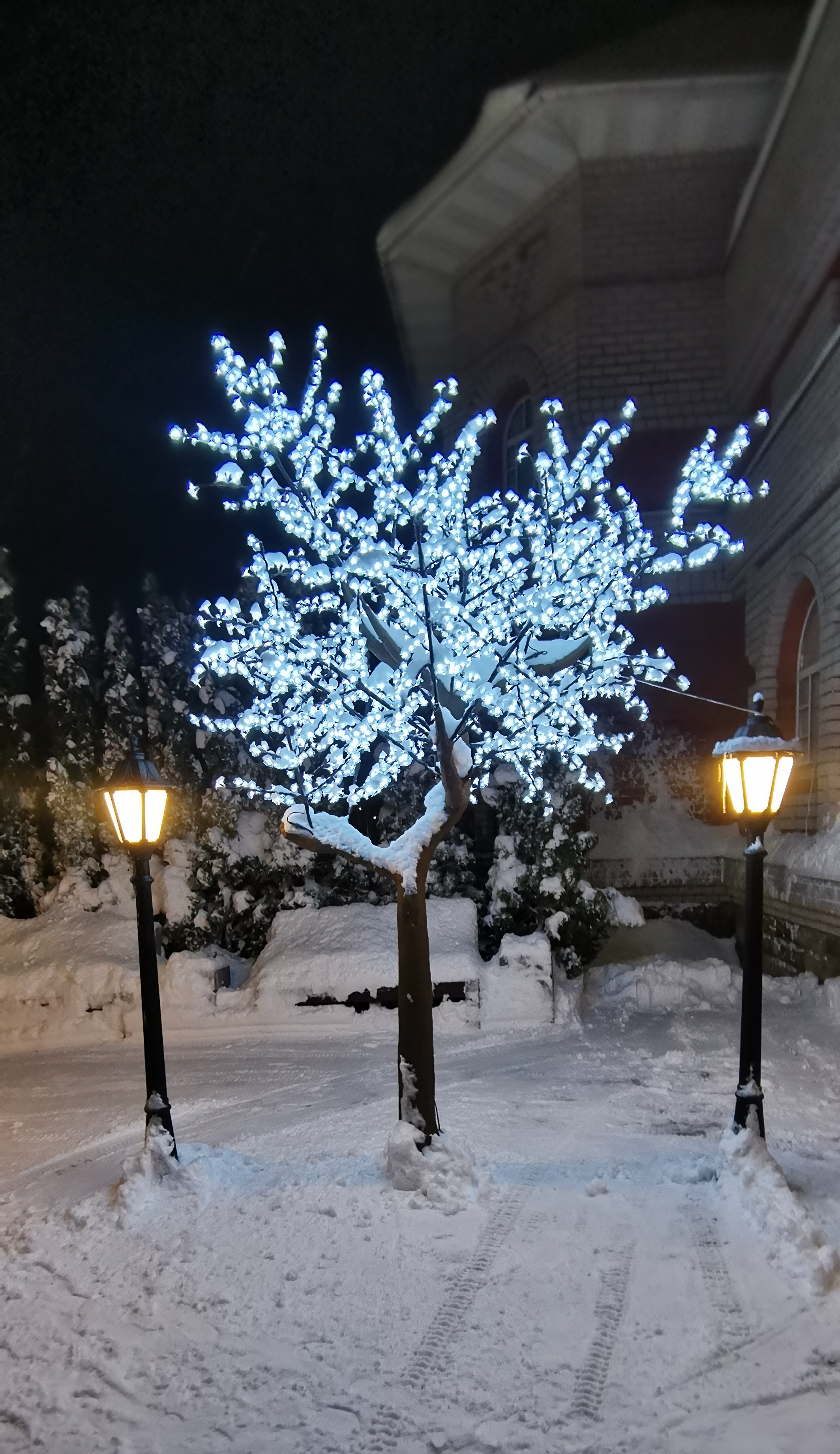 Фото Светлица