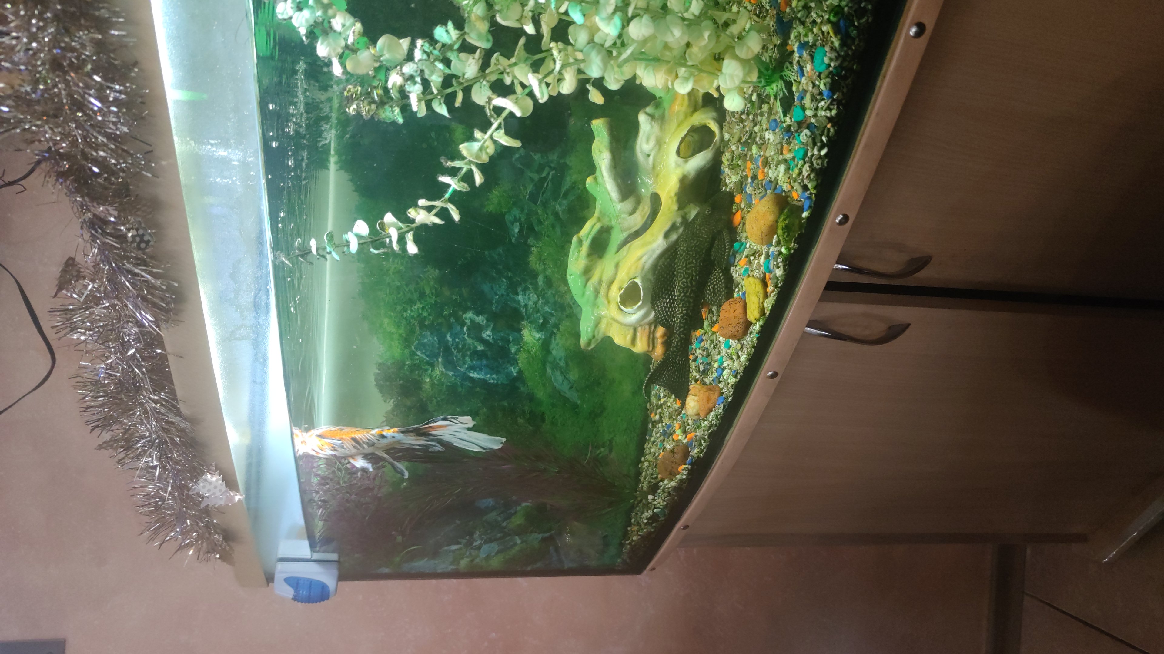 Фото Отель Гарика Мкртчяна