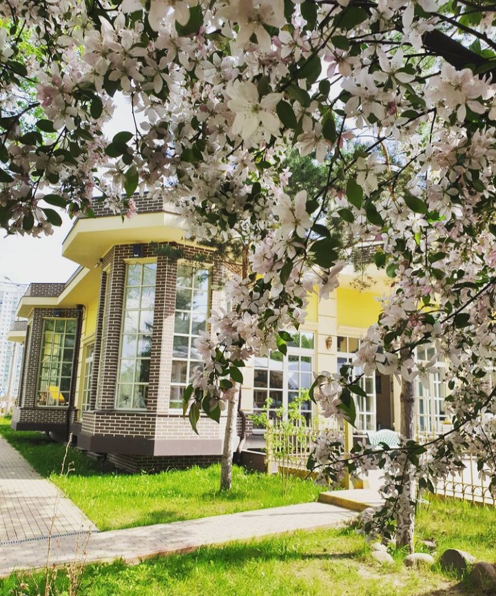 Фото Авшар Клаб