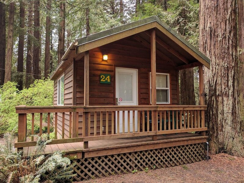 Гостиница Emerald Forest Cabins