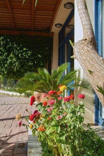 Фото Hotel Kalafati