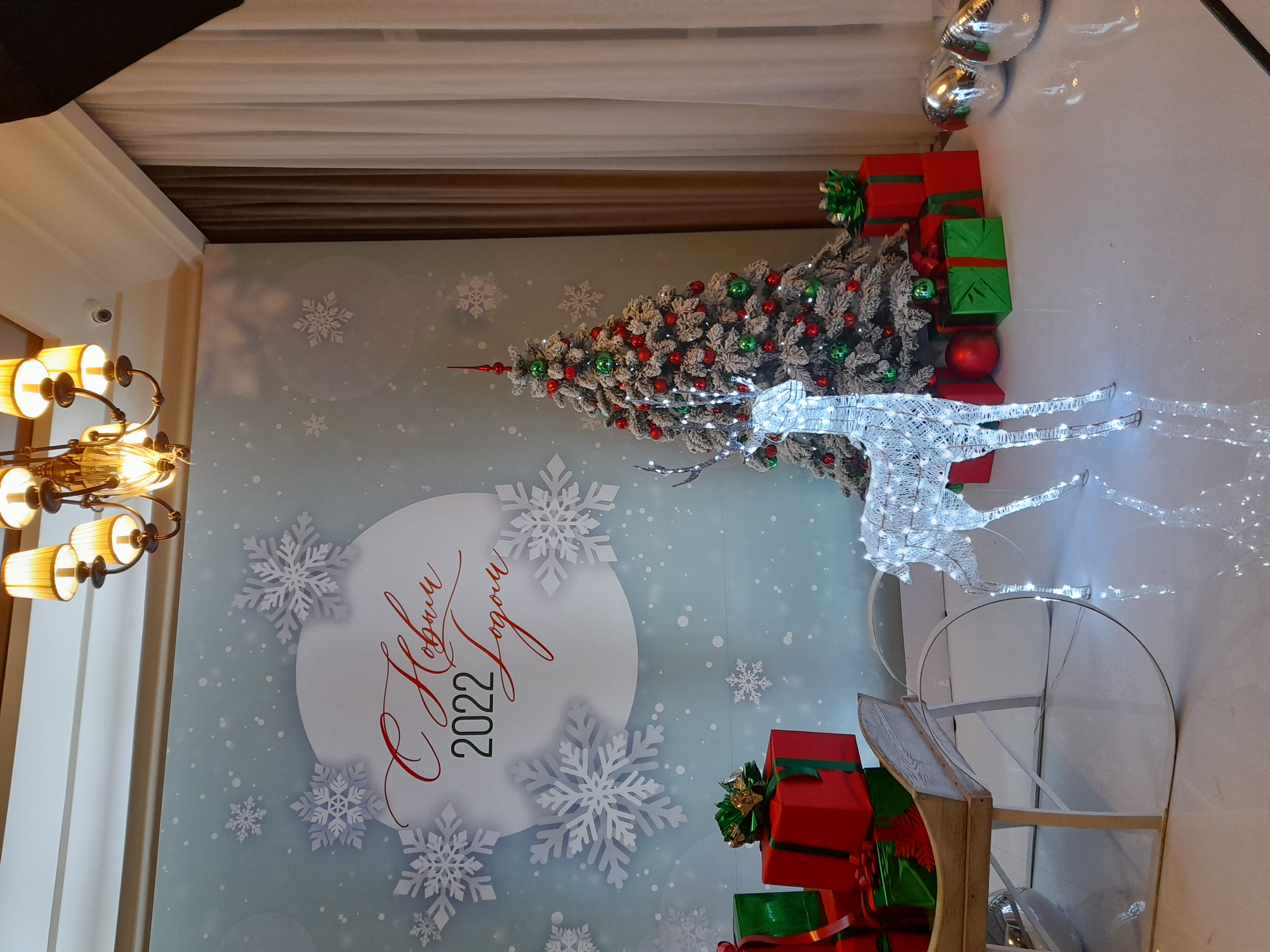 Фото Графский парк