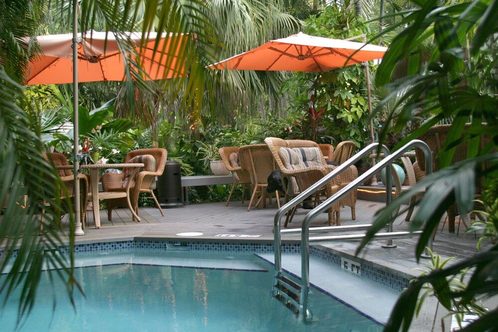 Фото The Mermaid & Alligator