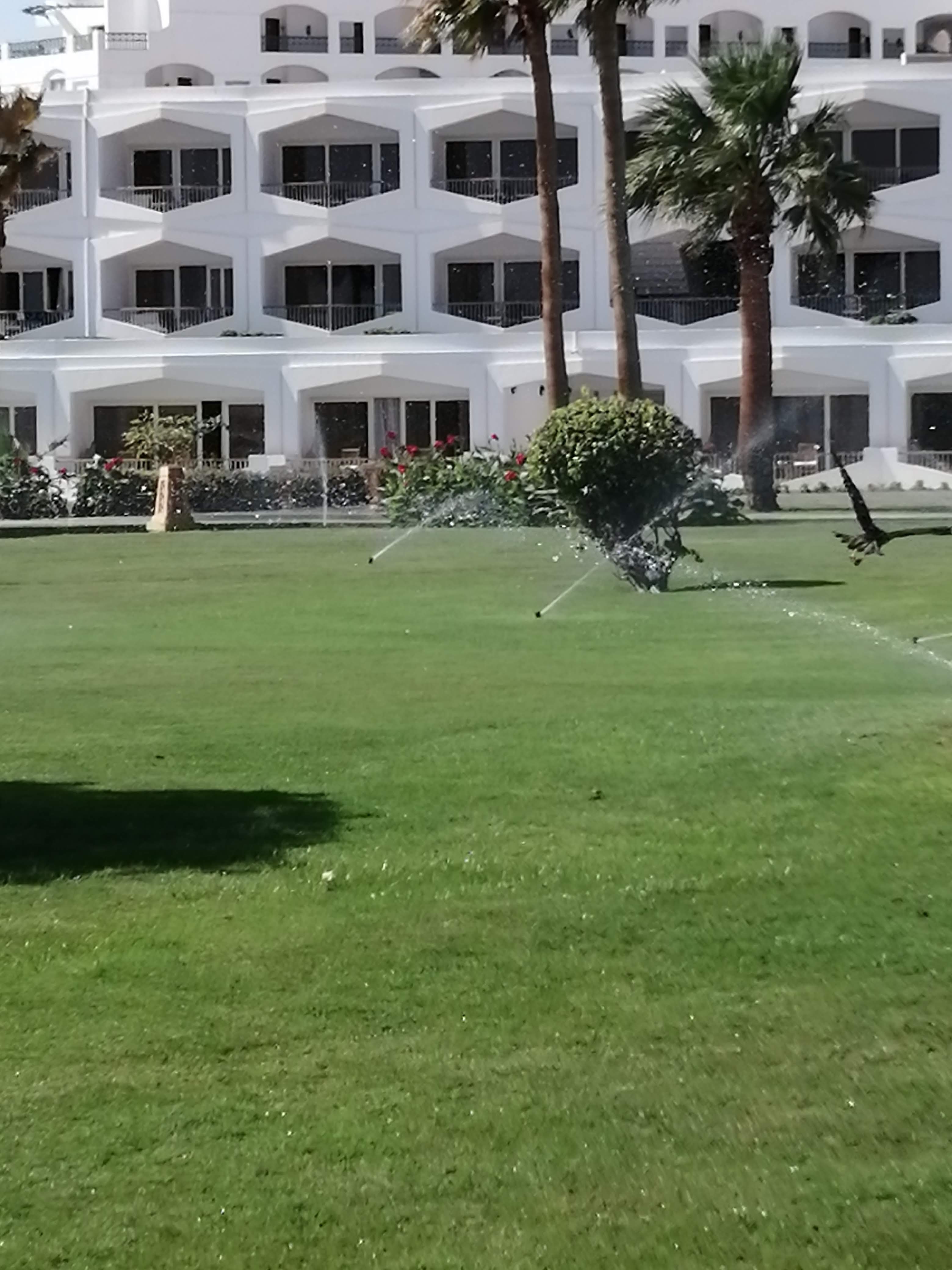 Фото Baron Palms Resort Sharm El Sheikh