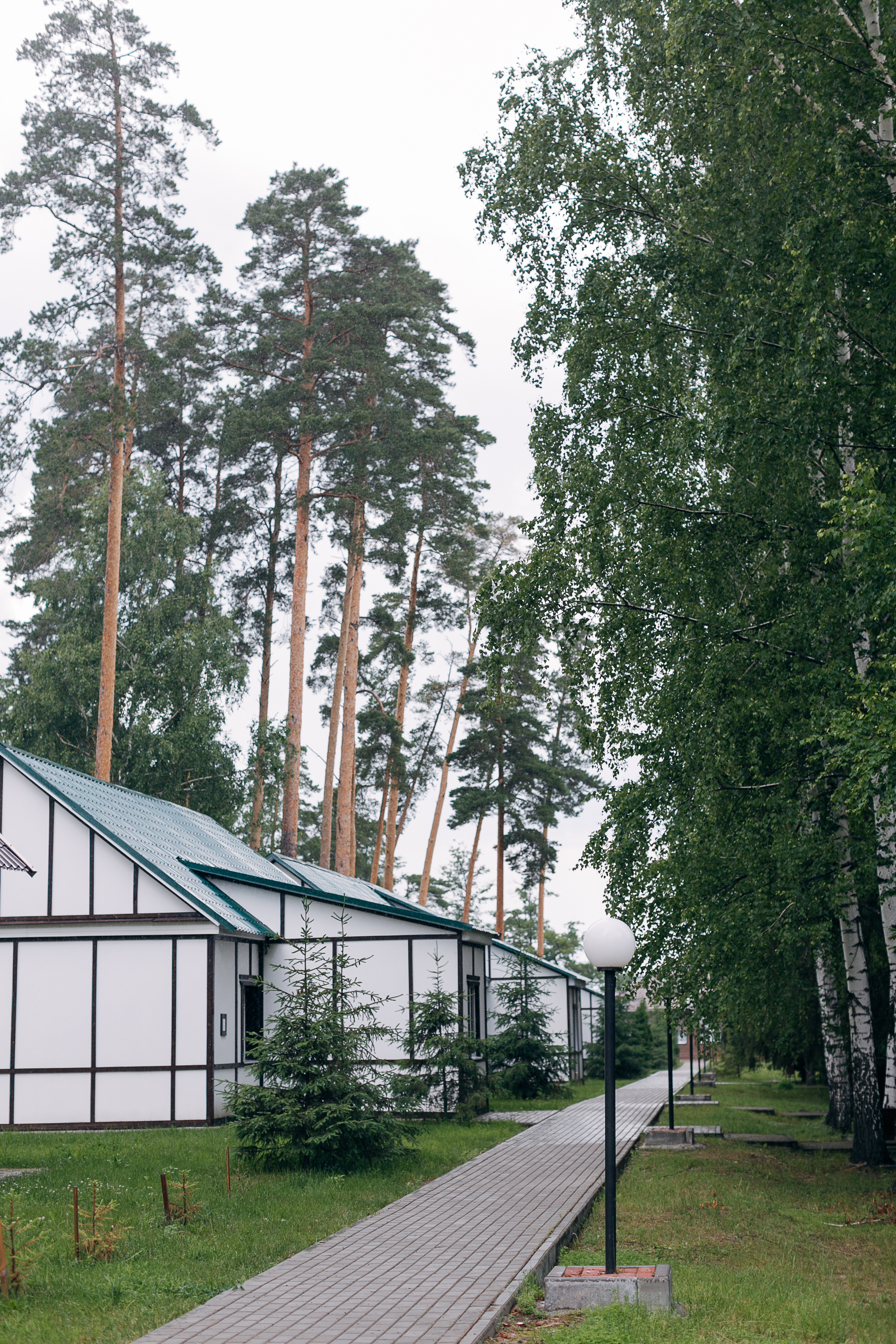 Фото Галдым