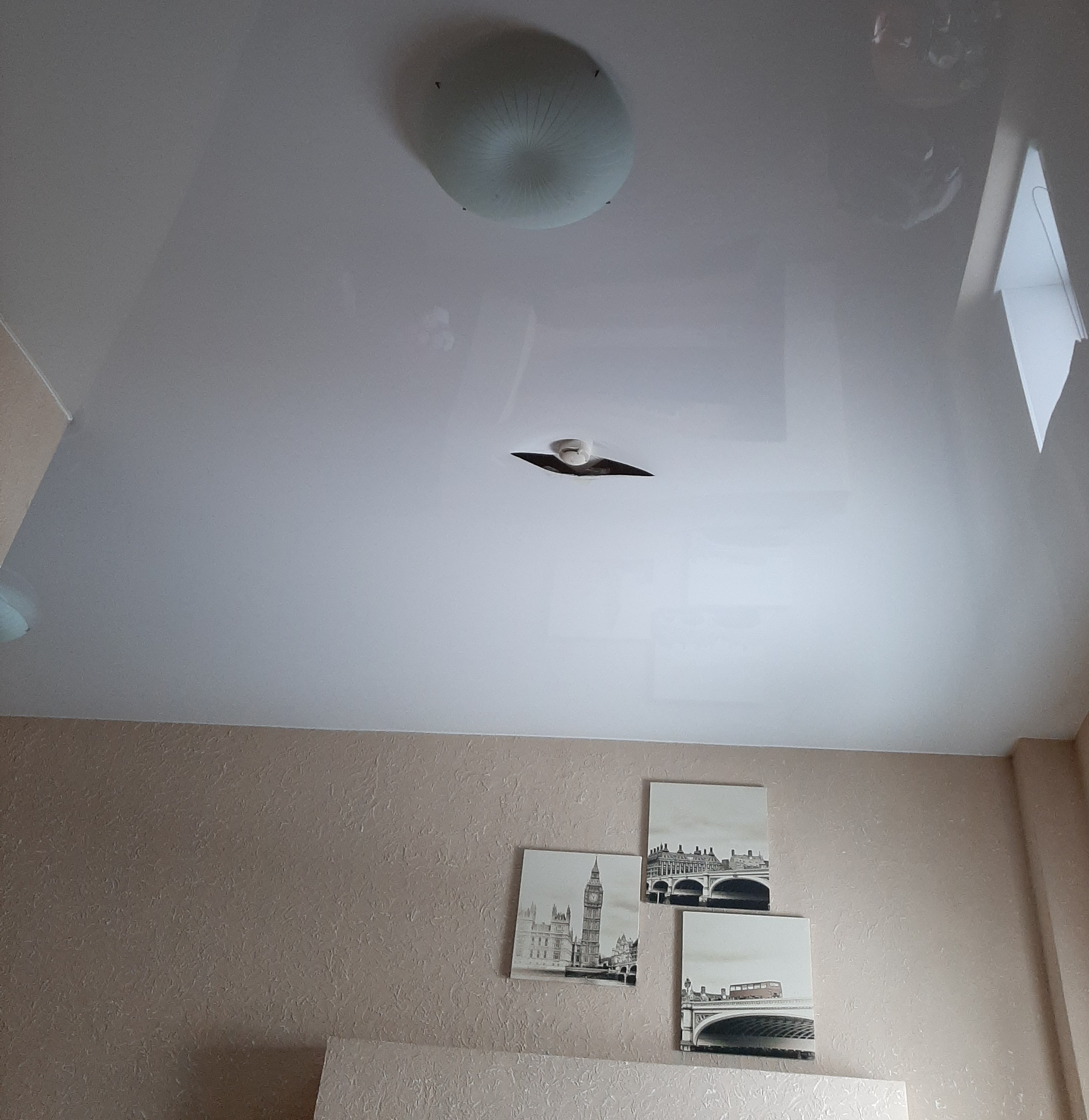 Фото Белгравия