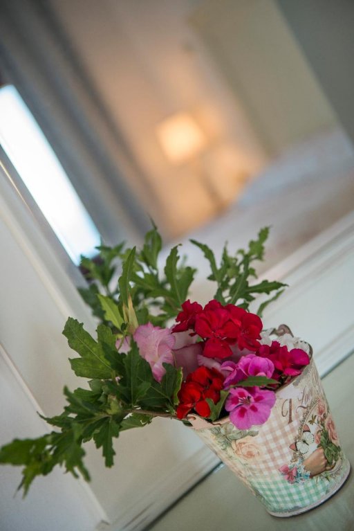 Фото Clara Hotel