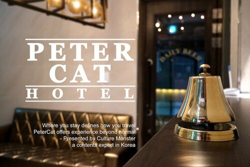 Гостиница Petercat Hotel Insadong