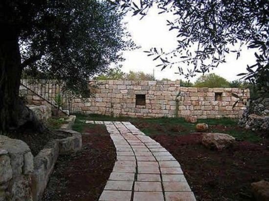 Фото Masseria Ruri Pulcra