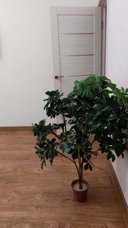 Фото Уютный дом на улице Декабристов 36/1