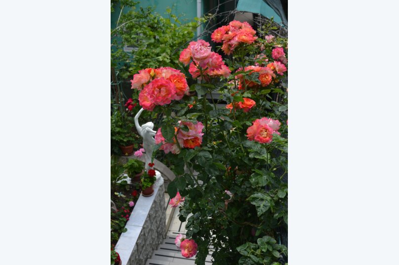 Фото Грин Палац