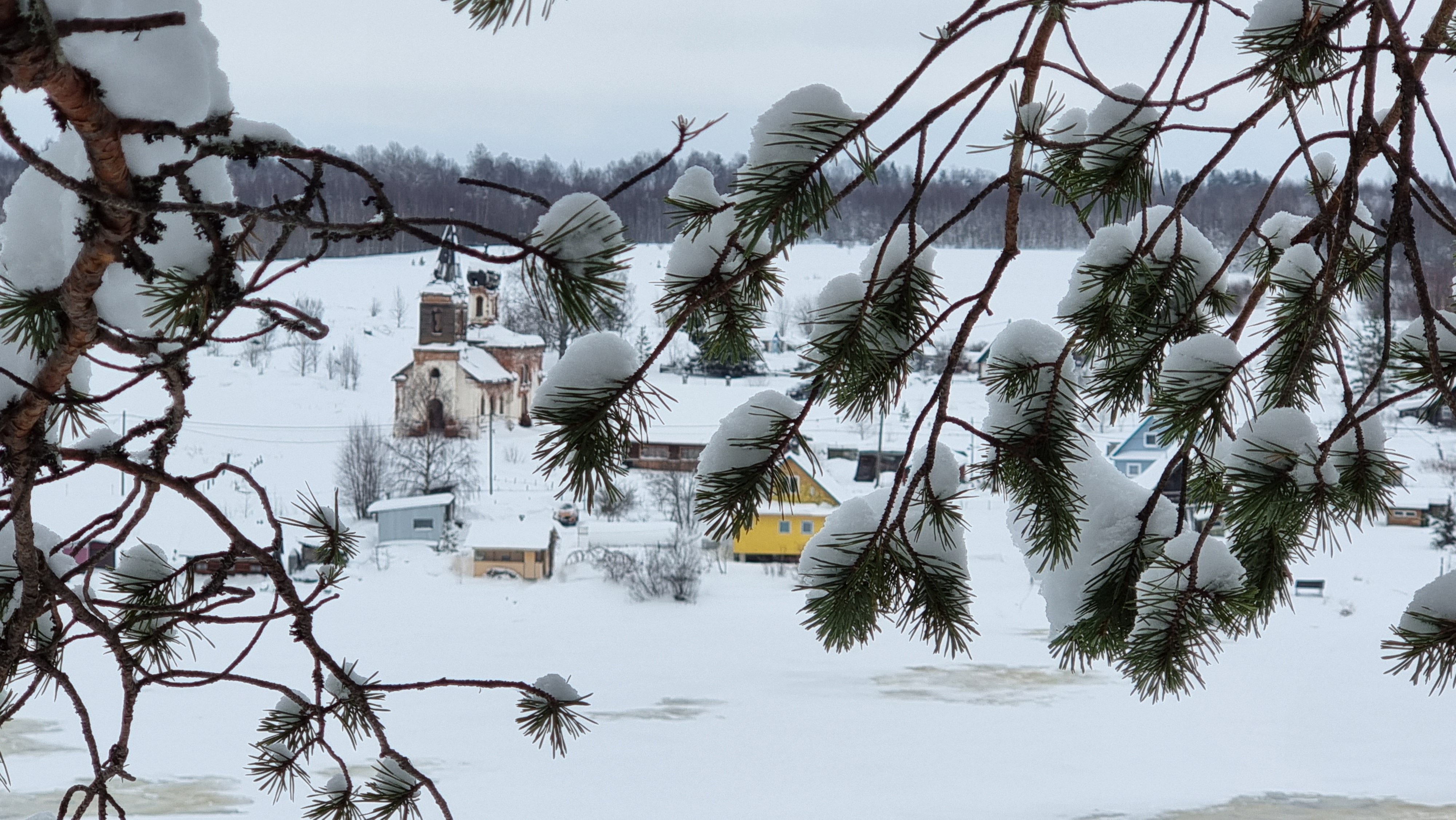 Фото Медвежий угол