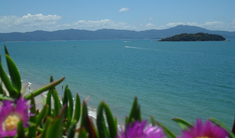 Фото Hotel Palace 1