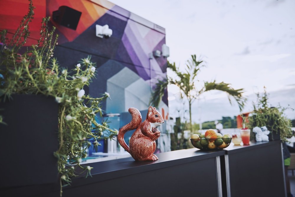 Фото BentoLiving Chestnut Hill